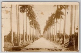 Royal Palm Avenue Havana Cuba 1926 Columbia SC Salles Family Postcard I25 - £6.22 GBP
