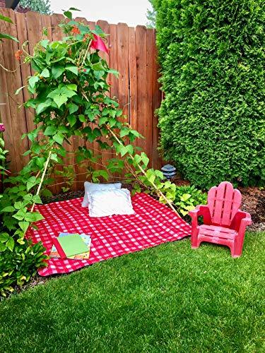 Living Growing Trellis Tent + 25 Nasturtium Whirlybird Flower Seeds- for Plantin