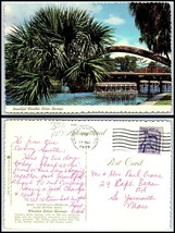FLORIDA Postcard - Silver Springs, Glass Bottom Boat DR - £2.32 GBP