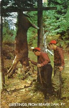 Vintage &quot;Lusterchrome&quot; Unposted Postcard Greetings From Beaver Dam Kentucky Deer - £19.41 GBP