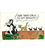 Postcard Humor Bob Petley 1952 Sure Takes Calls To Git Results Cats Funny - £19.45 GBP