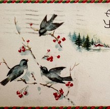 Christmas Yuletide Victorian Greeting Card Junco Birds 1900-10s Postcard... - $19.99