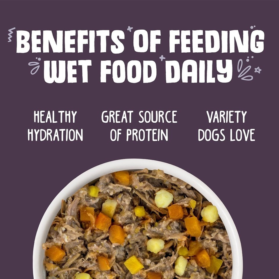 Grain-Free Steak Frites Wet Dog Food - Premium Beef & Veggies, 12 Can Pack Item image 8