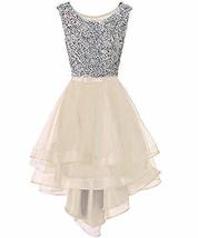Vintage Beaded High Low Sheer Organza Prom Evening Formal Dresses Beige US 12 - £95.25 GBP