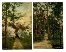 The Southern Pines  Hand Colored Postcard Southern Pines North Carolina  - £14.05 GBP