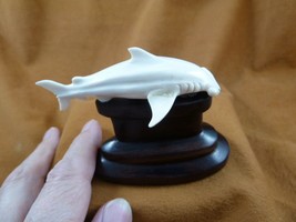 Shark-19 small white Hammerhead Shark display shed antler figurine Bali carving - £41.14 GBP