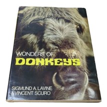 Wonders Of Donkeys (Dodd, Mead Wonders Books) By Sigmund Lavine &amp; Vincent 1978 - £10.07 GBP