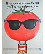 HUNT&#39;S CATSUP-1968 Vintage Print Ad-Hunt Wesson Foods-40 days in the sun... - $9.86