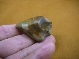 R809-6) genuine fossil Petrified Wood specimen Queensland Australia orga... - €14,48 EUR