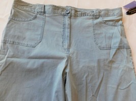 Laura Scott Missy Women&#39;s Shorts Short Size 18 Flat Front Chambray Blue ... - $23.16