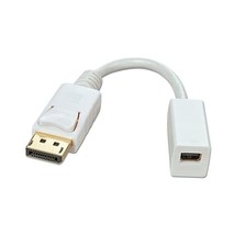 LINDY DisplayPort Male to Mini DisplayPort Female Adapter Cable  - $48.00