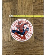 Laptop/Phone Sticker Forca Independente Colorada - $14.73