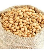 Soya Beans - £35.98 GBP