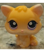 Littlest Pet Shop Pale Orange and White Accented Cute Kitten Cat #114 - £9.39 GBP