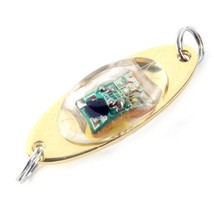 1pc Fishing Biats Lure 6 cm/2.4 in Flash Lamp LED Baits Eye Shape Fishing Lure L - £37.51 GBP