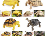 10pcs Realistic Tortoise Figurines Educational Plastic Wildlife Toys Set A - $1,660.64 MXN