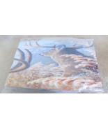 Dinjuna Rustic Pet Mat 23.6 x 70.8 Deer Theme--FREE SHIPPING! - £15.53 GBP