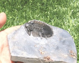 Item image 15