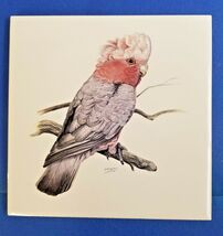 Australia Cockatiel Wall Tile Trivet Bird Animal Display Lavett Artist Grey - €17,21 EUR