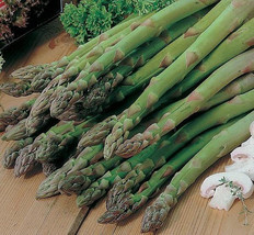 HeirloomSupplySuccess 100 Heirloom Mary Washington Asparagus Seeds - £3.92 GBP
