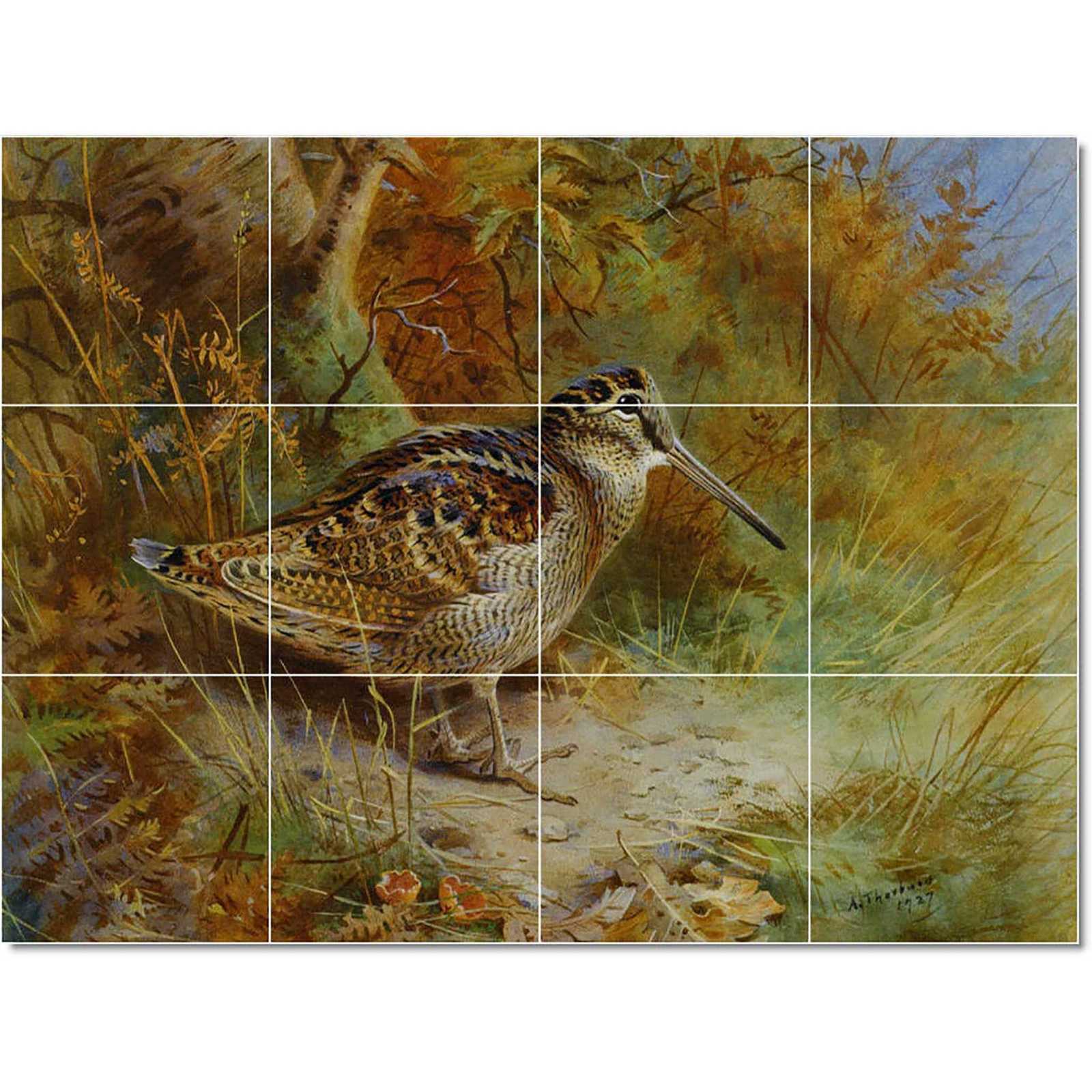 Thorburn archibald a woodcock 1927 watercolor and gouache