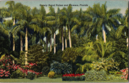 Stately Royal Palms and Flowers, Florida Vintage Postcard ( A14) - £4.30 GBP