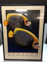 Signed Framed John Tessler Poster of Pomacanthus Imperator Fish - £24.47 GBP