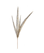 Faux Pheasant Feather Pick (Set of 12) - $1,928.92 MXN