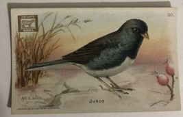 Junco Victorian Trade Card Arm And Hammer VTC 5 - £3.81 GBP