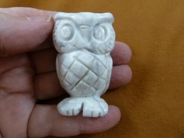 Y-BIR-OW-714) white Howlite OWL bird gemstone figurine carving I love OWLS birds - $17.53