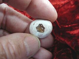 (O-590-60) Orange flash Mexican fire opal stone in matrix gemstone specimen - €16,18 EUR