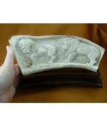 Lion-10 Lion male lions bas relief on shed ANTLER figurine Bali detailed... - $216.68