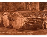Giant Fir Logs Ready For Mill Lumber Camp Oregon State UNP Sepia DB Post... - $10.84