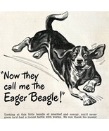 Sergeant&#39;s Dog Care Products Eager Beagle 1948 Advertisement Pets DWEE17 - $27.41 CAD