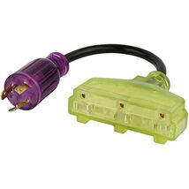 Reliance Controls Color Connect 12/3 SJTW 125 V 12 in. L Splitter Cord - $18.95