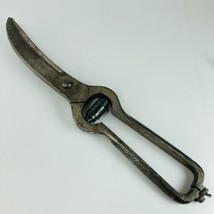 Haastert and Bull Wald Solingen Poultry Shears Vintage 40s 50s Working See Clasp - £15.37 GBP