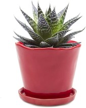 Chive &quot;Tika&quot; Ceramic Planter Pot: Adorable Plant Containers For Indoor And - £33.86 GBP