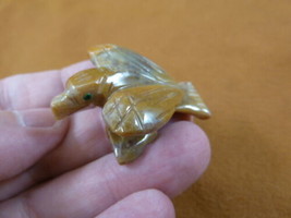 y-bir-ea-54 baby tan Eagle soapstone Gemstone gem CARVING PERU CUTE love... - £6.77 GBP