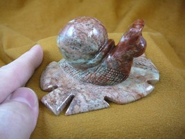(y-SNAI-403) red racer Snail on gray leaf GEM STONE carving SOAPSTONE Peru - $21.03