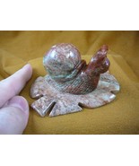 (y-SNAI-403) red racer Snail on gray leaf GEM STONE carving SOAPSTONE Peru - $28.85 CAD