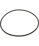 Pentair 355619 Trap Body O-Ring for Pentair Sta-Rite SuperMax/SuperFlo P... - $13.85