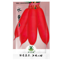 700Pcs Fruit Radish Seeds Red Radishes Vegetable Seed Garden Beautiful Usa Selle - £8.50 GBP