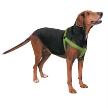 Casual Canine Two-Step Harness 15-25 x 5/8 in Flamingo Pink - $621.71 MXN