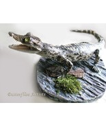 Real Crocodile Caiman Juvenile Crocodilus Spectacled Stuffed Taxidermy M... - $298.00