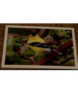 NEVER USED Beautiful Blank Greeting Card, GREAT CONDITION - $4.06 CAD