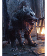 Lycan Transmogrification. Kerrack's Ritual to Become a Werewolf / Lycan - $999.00