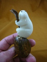 TNE-SLO-399c) toed Sloth TAGUA NUT figure carving love slow moving little sloths - £23.60 GBP