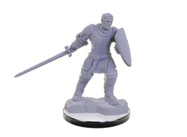 D&amp;D Nolzur&#39;s Marvelous Unpainted Miniatures: W22 Reborn Paladin &amp; Reborn Warlock - £7.93 GBP