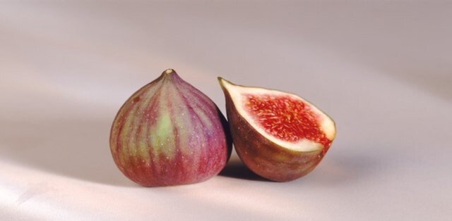 50 Fig Tree Seeds Ficus Carica Sweet Fruit Shrub Fast Grow - $11.25