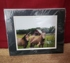 Horse Photo by Photo Artist W.L. Schroeder Happy Barn &amp; Horses 14 x 11&quot; - £16.32 GBP